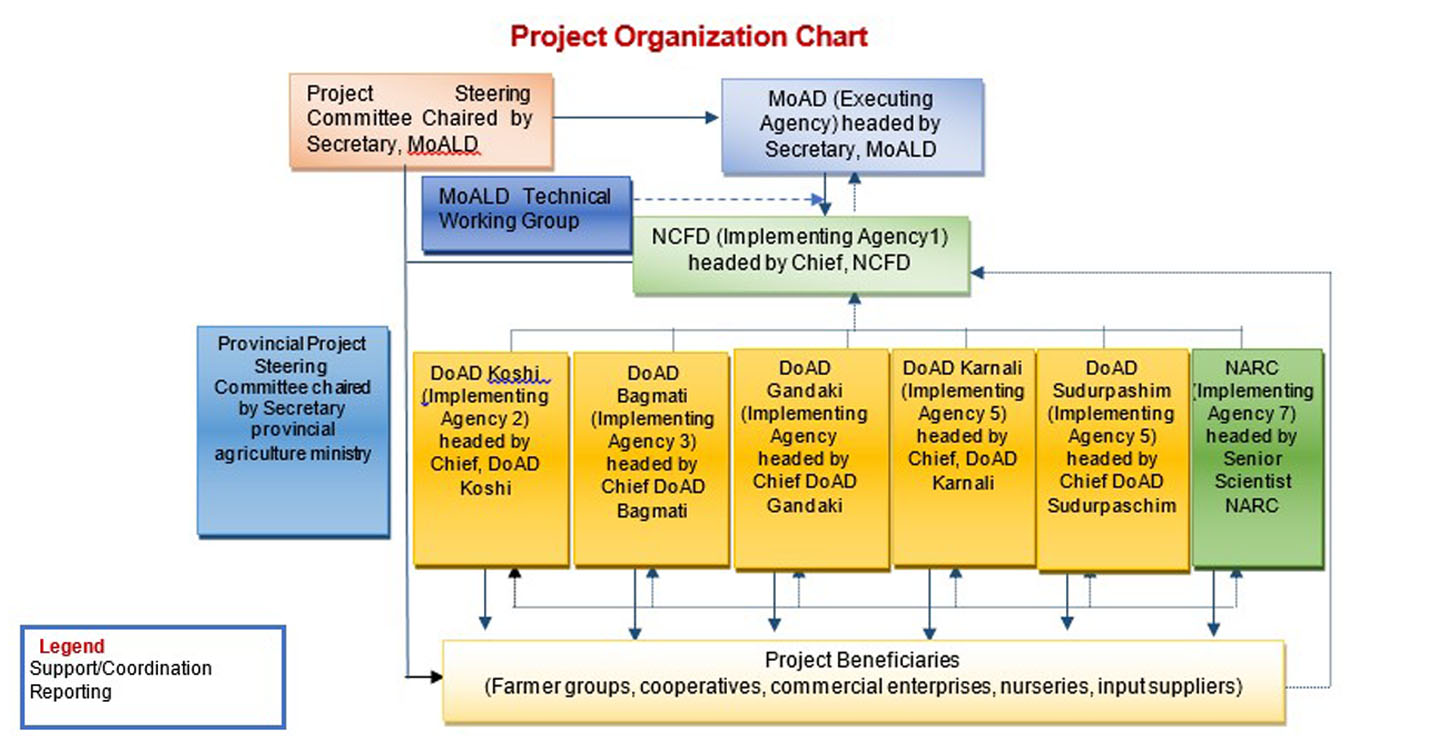 Project Organization Chart