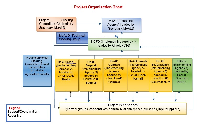 Project Organization Chart